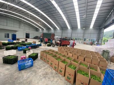 孫傳榮 走出產(chǎn)業(yè)融合發(fā)展之路，農(nóng)副產(chǎn)品的創(chuàng)新與突破