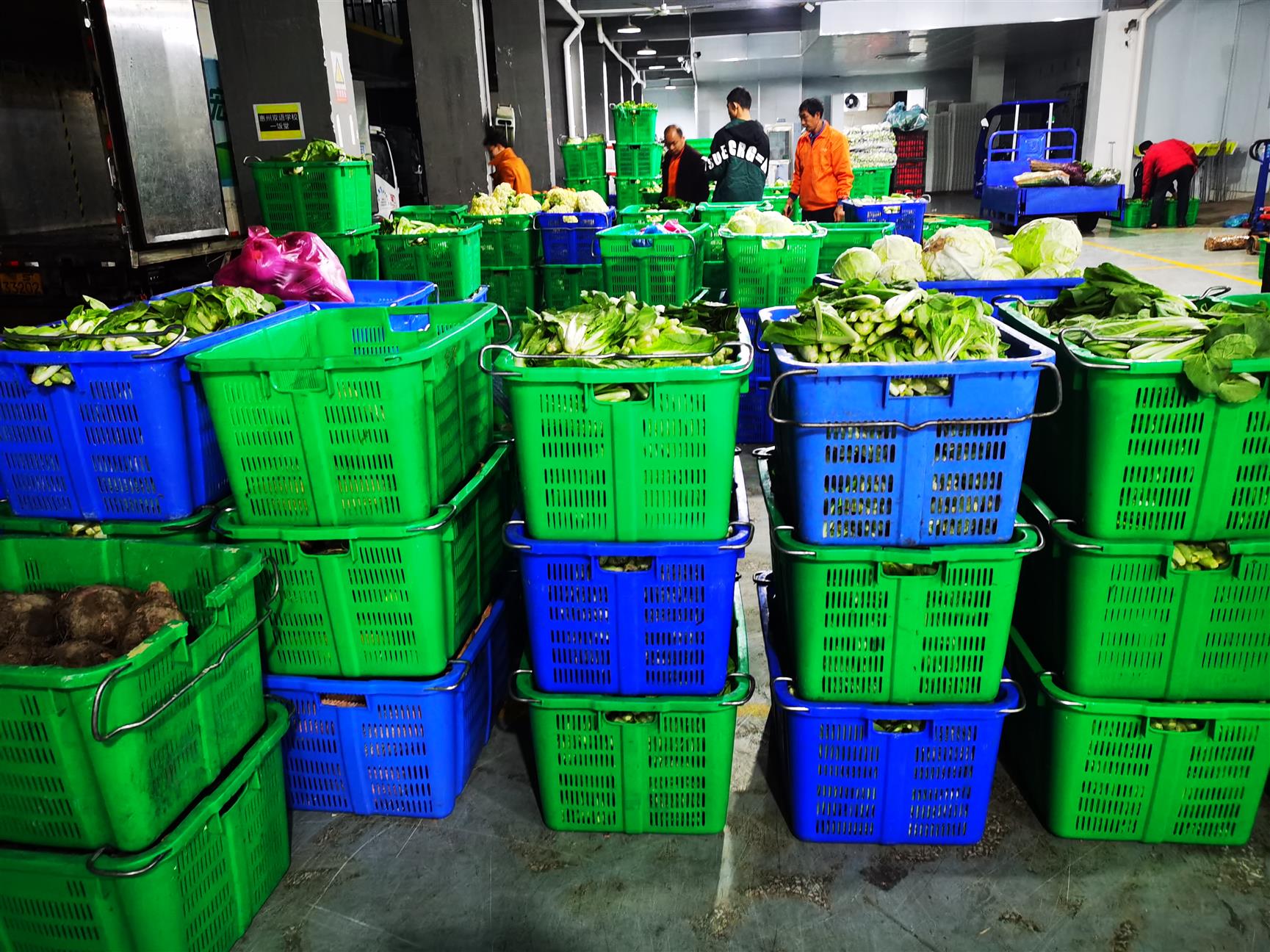 虎門鎮(zhèn)農(nóng)副產(chǎn)品配送 按需供應(yīng)，高效便捷的蔬菜批發(fā)服務(wù)