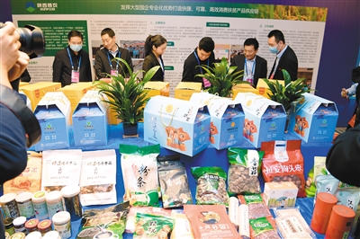 南車腰村首屆農(nóng)副產(chǎn)品推介會 豐收盛宴與精彩晚會共慶鄉(xiāng)村新篇章