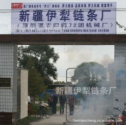 新疆伊犁鏈條廠 立足邊疆，服務農業的鏈條專家